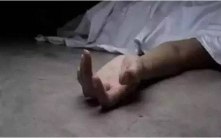 Small plane crashes into power lines in Oregon and kills 3, police say