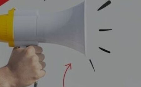 India Shelter IPO allotment declared: Latest GMP, how to check status online. Share listing expected tomorrow