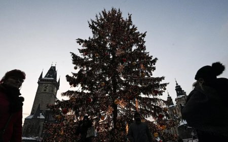 Woman killed by falling Christmas tree on Belgian market square