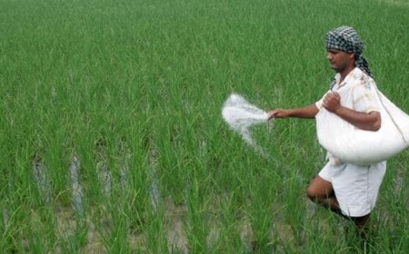 Domestic agri-input players sustain momentum despite headwinds in south, says Nuvama; Dhanuka remains its top pick