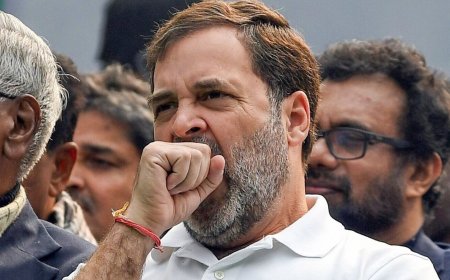 ‘Why didn’t you accommodate regional parties?': Rahul Gandhi questions CWC after Rajasthan, MP, Chhattisgarh loss