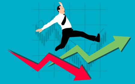 2024 Market Strategy: What investors should stay away from next year? Experts answer