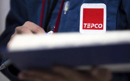 Tokyo court only holds utility responsible to compensate Fukushima evacuees and reduces damages