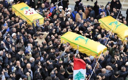 2 Australians killed in Israeli airstrike in Lebanon, says Australia's acting foreign minister