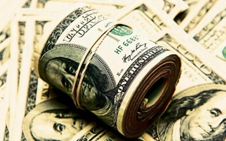 2023 in Review: FPI inflows recorded at  ₹1.65 lakh crore, highest since 2020; will the trend continue?