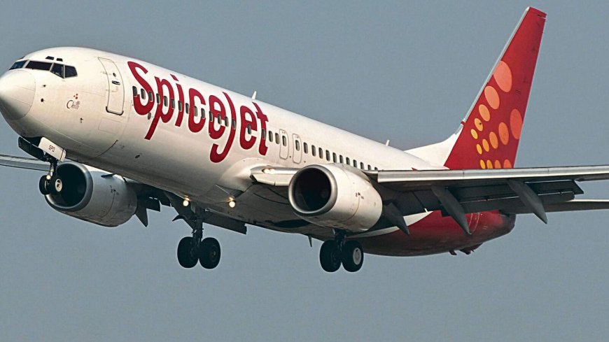 SpiceJet shares close to 52-week high after allotment of preferential issue. Buy, sell or hold?