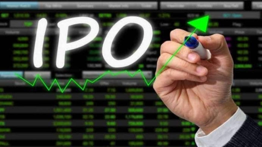 Upcoming IPOs: From Muthoot Microfin to Electro Force —12 new companies to hit Dalal Street coming week. Check full list