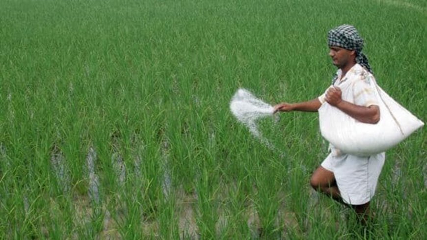 Domestic agri-input players sustain momentum despite headwinds in south, says Nuvama; Dhanuka remains its top pick