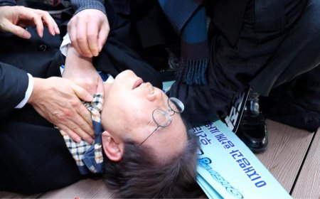 South Korean opposition party leader stabbed in neck