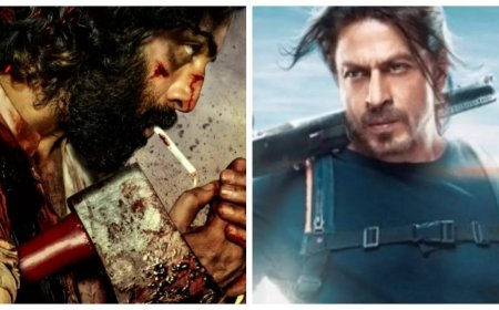 'Animal' beats Shah Rukh Khan's 'Pathaan'