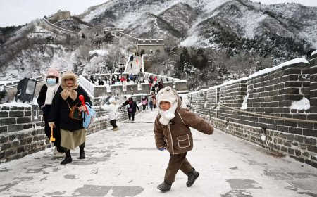 How a ‘living skin’ is protecting the Great Wall of China