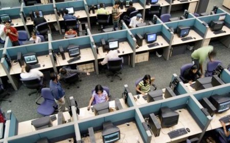 Are IT investors counting chickens before the eggs hatch?