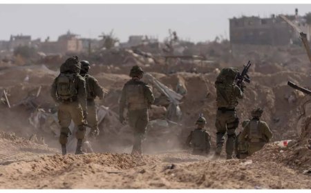 South Africa says Israel's campaign in Gaza amounts to genocide. What can UN do?