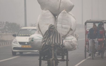 At 3.6°C, Delhi records coldest morning this winter
