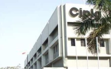 Cipla share price rises 25% in six months; Strong earnings outlook beyond FY24 may aid further gains