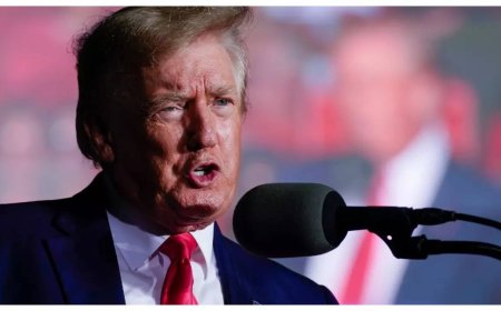 Trump asked to pay $83 million to E Jean Carroll in sex assault defamation