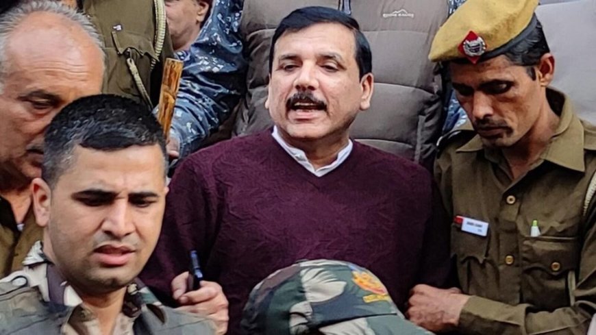 Excise Policy Case: Delhi HC issues notice to ED on AAP leader Sanjay Singh's bail plea