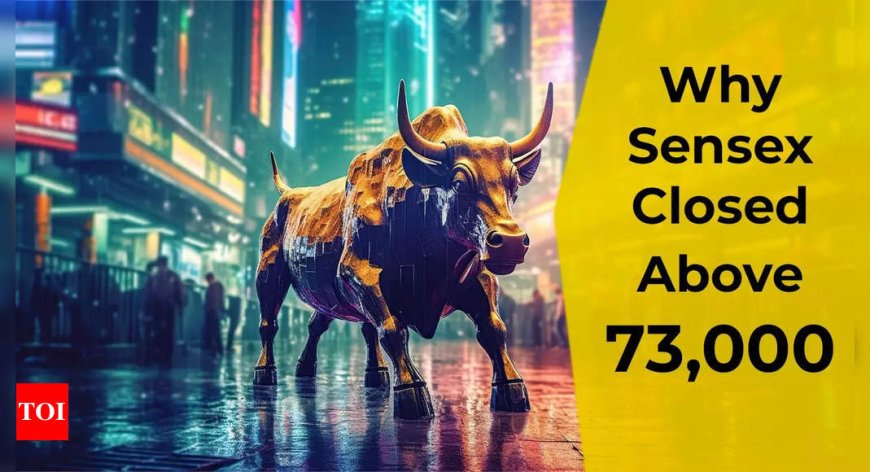 Stock market today: BSE Sensex closes above 73,000 for the first time; Nifty50 above 22,000 - reasons why Dalal Street rallied
