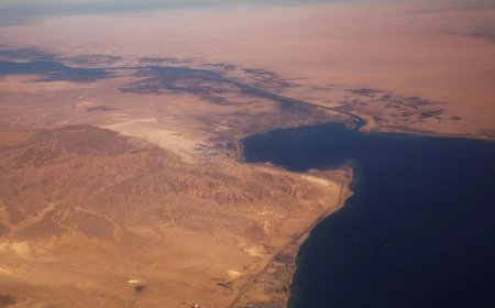 16,000 sheep and cattle still stuck on board export ship after Red Sea turn-back