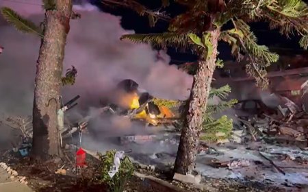 Several dead as small plane crashes and burns in Florida mobile home park