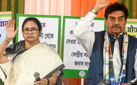Lok Sabha elections: Mamata Banerjee hits out at Congress, says Nyay Yatra 'strategy to gain Muslim vote’