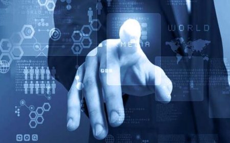 BLS E-Services IPO allotment declared. GMP, how to check allotment status online