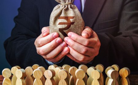 FPIs find stability in Indian debt amid equity challenges; what's behind the inflows into bonds?