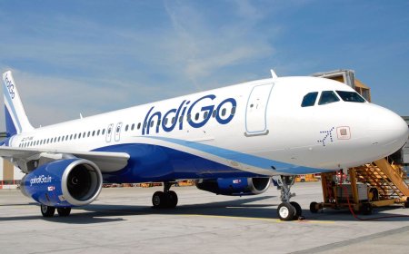 IndiGo share price jumps over 5% to hit a record high after upbeat Q3 results