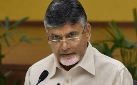 Chandrababu Naidu to meet Shah: Is TDP set to join NDA again?
