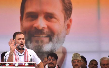 'Rahul Gandhi lost badly in LS polls but…': Pranab Mukherjee's daughter says Congress should look outside Gandhi family