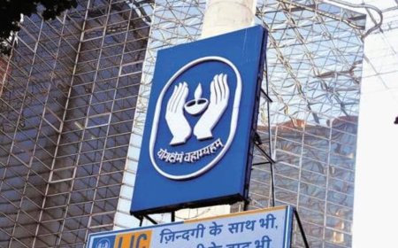 LIC stock hits new life-time high, outshines CY23 performance in just 27 sessions