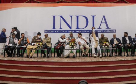 INDIA bloc likely to win 166 Lok Sabha seats and Congress 71, finds survey: What numbers say