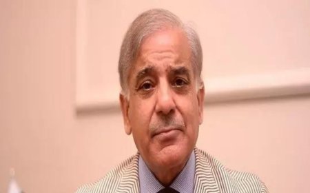 Pakistan Elections: Shehbaz Sharif secures victory with 63,953 votes from Lahore as counting underway