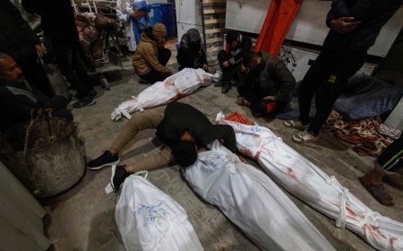 More than 50 people killed in Israeli strikes on Rafah