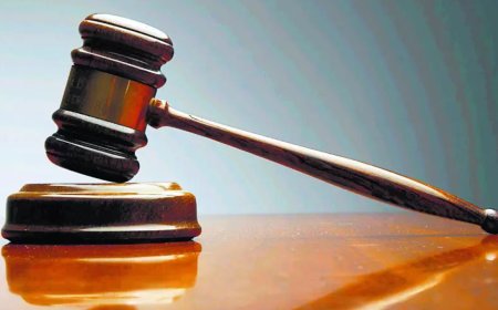 Giving time, money to mother not domestic violence: Court