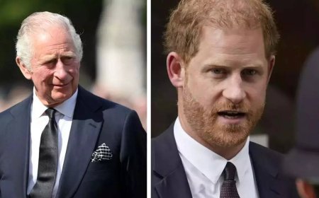 Prince Harry hopeful King Charles' cancer could bring royal family closer