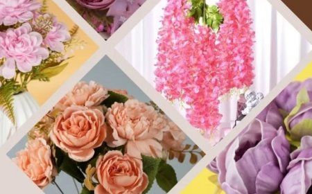 Interiors and More IPO Day 2: Check subscription status, GMP and other details