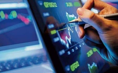 Novartis India share price surges nearly 11% to hit a 52-week high as Novartis AG announces sale plans for the co