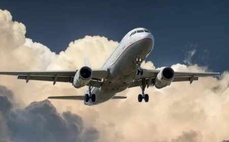 NY-bound flight forced to return to Toronto after plane catches fire