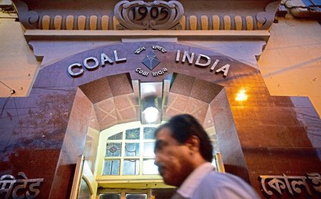 Here are the top 5 PSU stocks with dividend yields above 5%