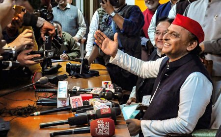 Congress-SP seat-sharing deal in Madhya Pradesh too, Akhilesh Yadav's party to contest just one of 29 seats