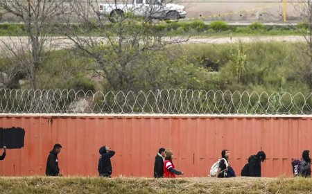 'More Chinese migrants are crossing San Diego border than Mexicans'