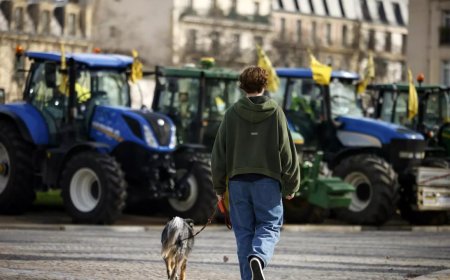 Angry French farmers storm into agriculture fair in Paris