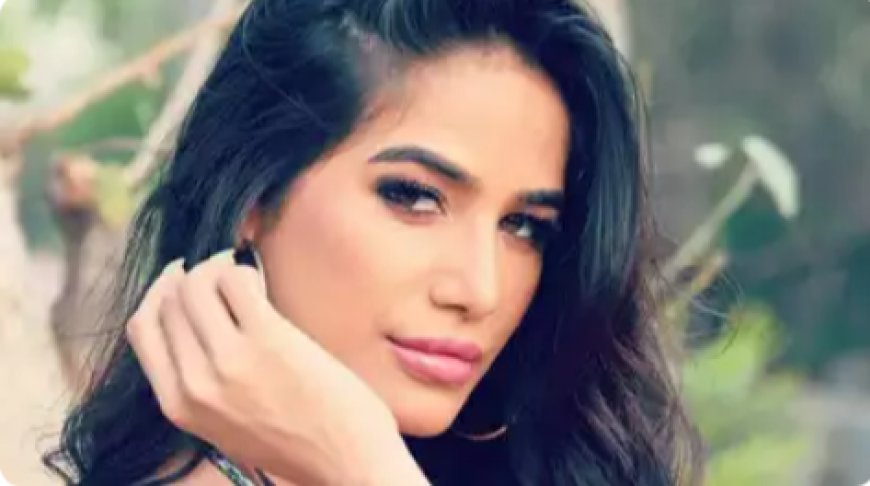 Poonam Pandey fake death: Legal ramifications of such act