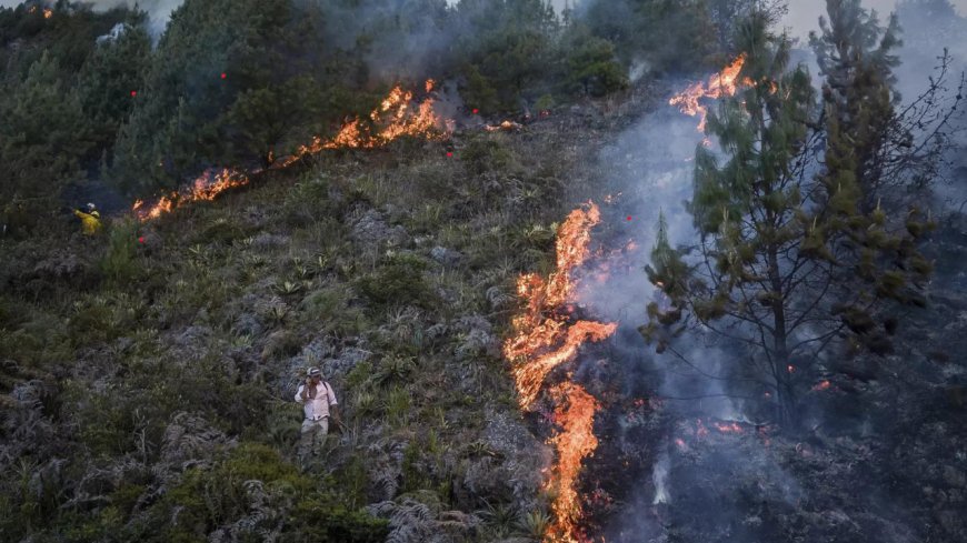 Forest fires kill 123 in Chile's worst disaster since 2010 earthquake