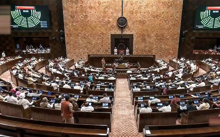 Rajya Sabha Polls: NDA four seats short of majority in Upper House. What it means for BJP