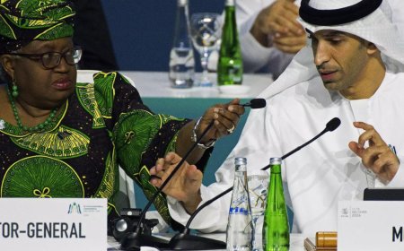 World Trade Organization ends meeting in UAE after failing to reach major agreements