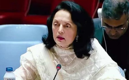 Israel-Hamas war: Only two-state solution will deliver enduring peace, India says at UNGA