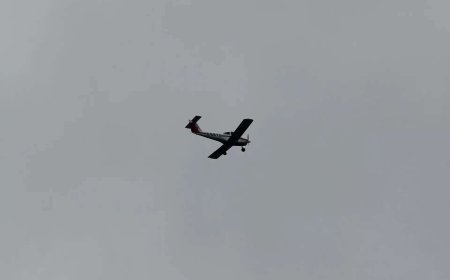 2 killed in midair plane collision above Nairobi National Park, Kenya police say