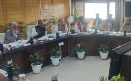 Advertisements rights for PTUs and CTUs on PPP model approves by the NDMC Council.